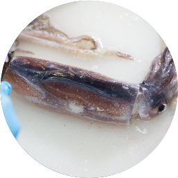 食品部